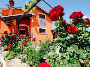 Apartments between Vineyards & Sea